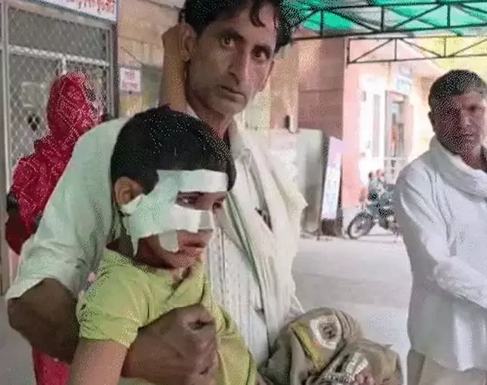 आवारा कुत्ते ने 7 साल के बच्चे पर किया हमला, आंख और हाथ-गर्दन पर गंभीर चोटें आवारा कुत्ते ने 7 साल के बच्चे पर किया हमला, आंख और हाथ-गर्दन पर गंभीर चोटें