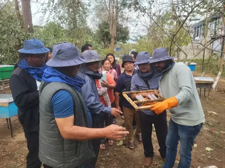 Nagaland : 230 किसानों को वैज्ञानिक मधुमक्खी पालन का प्रशिक्षण दिया गया Nagaland : 230 किसानों को वैज्ञानिक मधुमक्खी पालन का प्रशिक्षण दिया गया