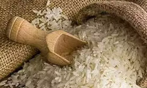 Tamil Nadu : चावल पर 5% GST हटाने की मांग Tamil Nadu : चावल पर 5% GST हटाने की मांग