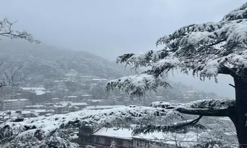 Shimla: हिमाचल में मौसम अलर्ट, बर्फ और आंधी की संभावना
