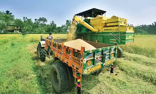 चुनावों में डेल्टा के किसानों के लिए MSP और प्रोत्साहन निर्णायक कारक होंगे