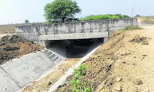 Wadegera : ज़मीन के पिछले हिस्से के लिए पानी नहीं है Wadegera : ज़मीन के पिछले हिस्से के लिए पानी नहीं है