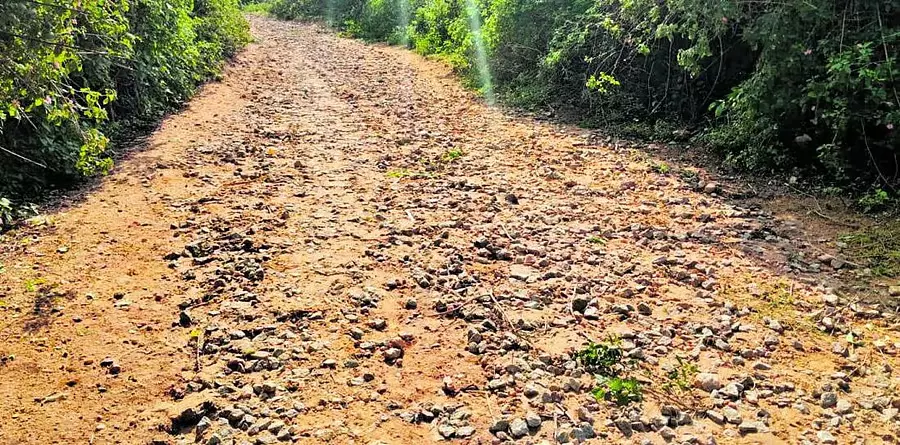 Karnataka : खराब सड़क, सवारों की परेड Karnataka : खराब सड़क, सवारों की परेड