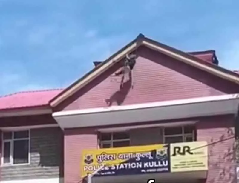 Kullu में भारी हंगामे के बीच पुलिस थाने की छत से गिरी महिला Kullu में भारी हंगामे के बीच पुलिस थाने की छत से गिरी महिला