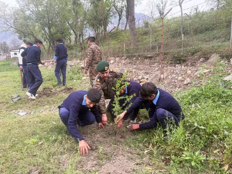 Himachal: 133 इको टास्क फोर्स ने जागरूकता अभियानों के साथ अंतर्राष्ट्रीय वन दिवस मनाया Himachal: 133 इको टास्क फोर्स ने जागरूकता अभियानों के साथ अंतर्राष्ट्रीय वन दिवस मनाया