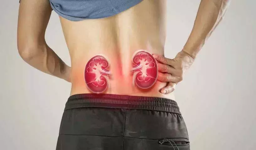 भारतीयों में Kidney की बीमारियाँ बढ़ रही हैं – जानें इसके कारण भारतीयों में Kidney की बीमारियाँ बढ़ रही हैं – जानें इसके कारण