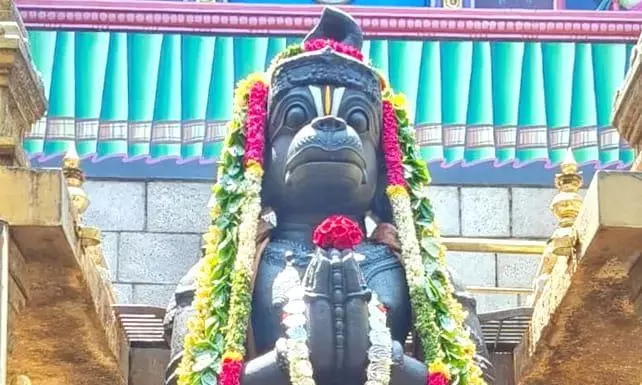 Namakkal अंजनेयर को 300 ग्राम चांदी की पान-पत्ती माला अर्पित Namakkal अंजनेयर को 300 ग्राम चांदी की पान-पत्ती माला अर्पित