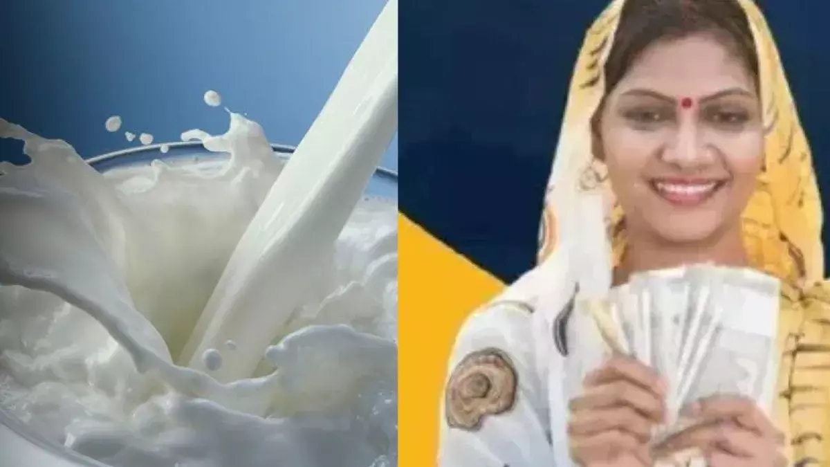 Lucknow: महिला सशक्तिकरण से बढ़ा दूध उत्पादन, 31 जिलों में महिलाओं की बड़ी आर्थिक उपलब्धि Lucknow: महिला सशक्तिकरण से बढ़ा दूध उत्पादन, 31 जिलों में महिलाओं की बड़ी आर्थिक उपलब्धि