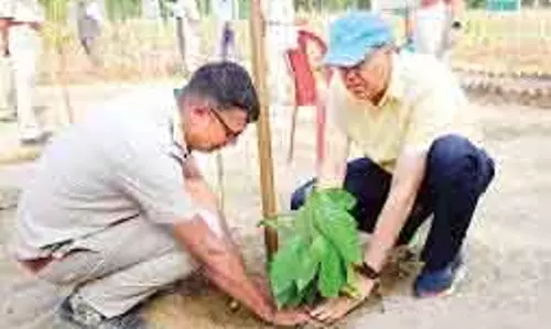 Budgam में विश्व वन दिवस के अवसर पर विशाल वृक्षारोपण अभियान