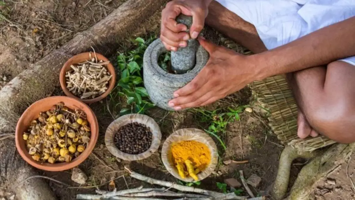 आयुर्वेद और प्राकृतिक चिकित्सा: समग्र उपचार का शाश्वत विज्ञान