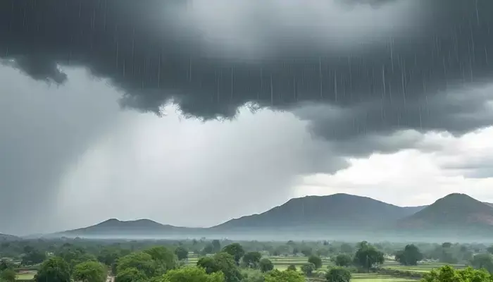 Bhopal: मध्य प्रदेश में फिर मौसम का यू-टर्न, बारिश की संभावना Bhopal: मध्य प्रदेश में फिर मौसम का यू-टर्न, बारिश की संभावना