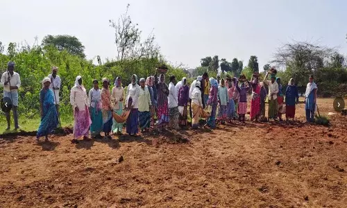 Job Scheme में दिक्कत: जुलुरुपाडु के 10,368 मज़दूरों को मुश्किलों का सामना Job Scheme में दिक्कत: जुलुरुपाडु के 10,368 मज़दूरों को मुश्किलों का सामना