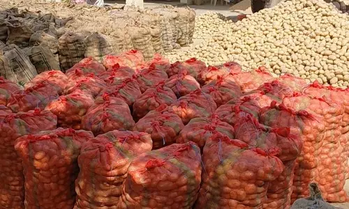 Farrukhabad: किसानों पर आलू के दामों का असर, राहत की मांग Farrukhabad: किसानों पर आलू के दामों का असर, राहत की मांग