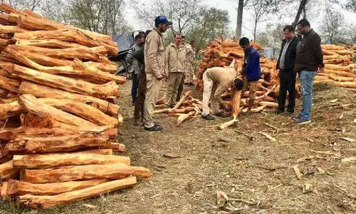 Una में गार्ड और वाहनों की कमी के चलते वन उत्पादों की सुरक्षा करना मुश्किल है