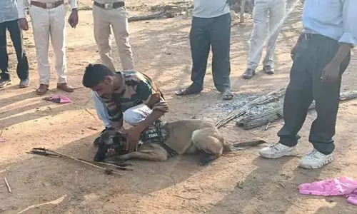 नीलगाय के शिकार में चार गिरफ्तार, डॉग स्क्वॉड की मदद से पकड़े गए आरोपी नीलगाय के शिकार में चार गिरफ्तार, डॉग स्क्वॉड की मदद से पकड़े गए आरोपी