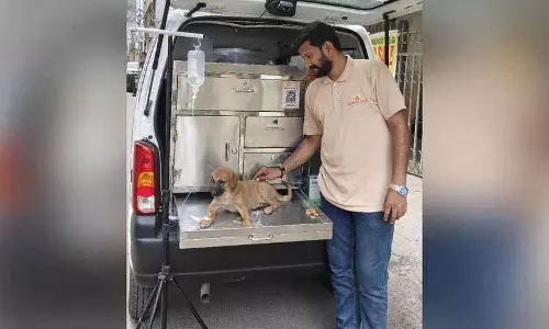 अरहम एनिमल एम्बुलेंस, Hyderabad के घायल और बेसहारा जानवरों के लिए जीवनरेखा