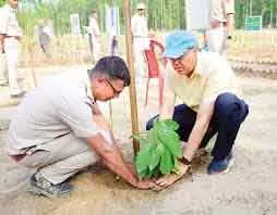 Budgam में विश्व वन दिवस के अवसर पर विशाल वृक्षारोपण अभियान Budgam में विश्व वन दिवस के अवसर पर विशाल वृक्षारोपण अभियान