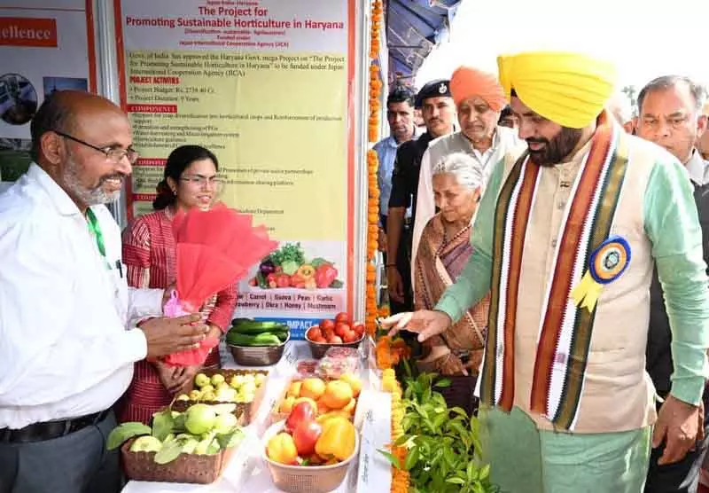 CM ने हिसार में कृषि मेले में 42 प्रगतिशील किसानों को सम्मानित किया CM ने हिसार में कृषि मेले में 42 प्रगतिशील किसानों को सम्मानित किया