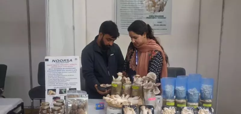 Srinagar: कृषि और खाद्य उत्पादों का उत्सव, सम्मेलन प्रारंभ Srinagar: कृषि और खाद्य उत्पादों का उत्सव, सम्मेलन प्रारंभ