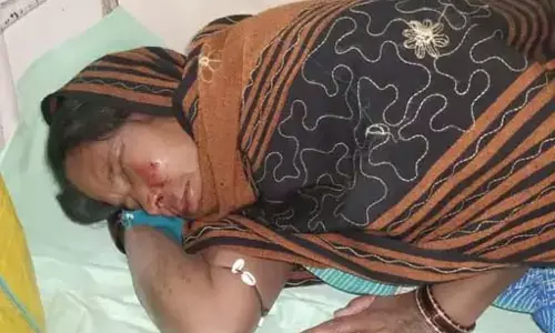 रौंदने के लिए हाथी ने दौड़ाया, रायगढ़ में महिला घायल