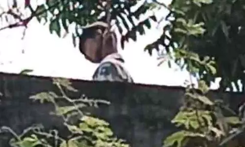 छात्र को नशे की लत, खुद आम पेड़ में लगा ली फांसी