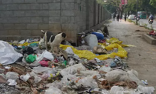 बेंगलुरु में कूड़ा उठाने को लेकर अफरा-तफरी; ठेकेदारों के खिलाफ 35 FIR दर्ज बेंगलुरु में कूड़ा उठाने को लेकर अफरा-तफरी; ठेकेदारों के खिलाफ 35 FIR दर्ज