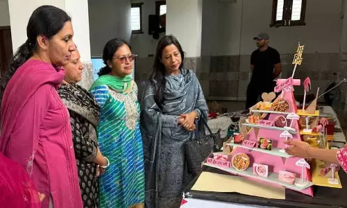 Ludhiana के पास ग्रामीण मेला 50-दिवसीय कार्य अनुभव कार्यक्रम के समापन का प्रतीक है Ludhiana के पास ग्रामीण मेला 50-दिवसीय कार्य अनुभव कार्यक्रम के समापन का प्रतीक है