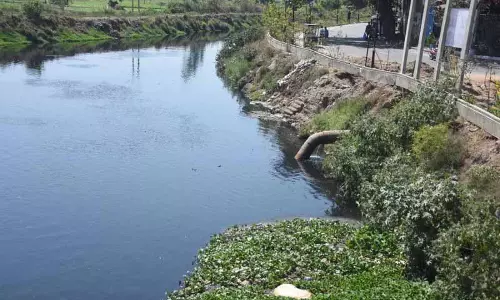 Mandi Gobindgarh और Ludhiana पंजाब के सबसे प्रदूषित स्थान बने हुए हैं