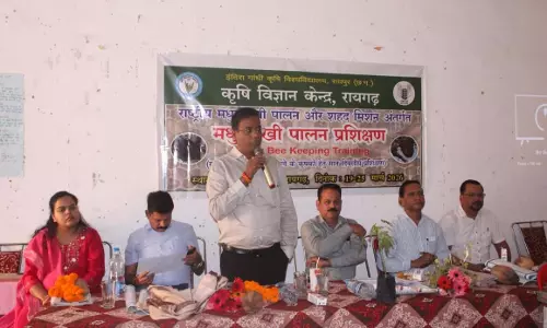 50 किसानों ने आधुनिक तकनीक से सीखा मधुमक्खी पालन 50 किसानों ने आधुनिक तकनीक से सीखा मधुमक्खी पालन