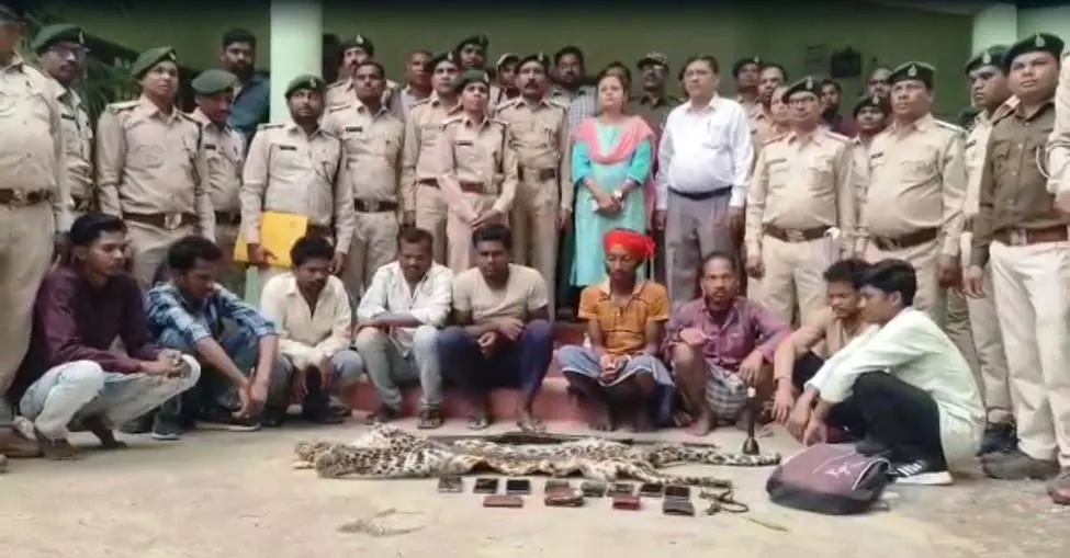 वनकर्मी तस्कर बनकर 9 शिकारियों को दबोचा वनकर्मी तस्कर बनकर 9 शिकारियों को दबोचा
