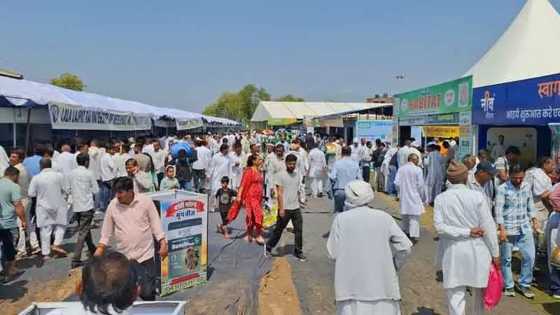 Hisar किसान कृषि मेले में उमड़े; 41 लाख रुपये की बिक्री दर्ज Hisar किसान कृषि मेले में उमड़े; 41 लाख रुपये की बिक्री दर्ज