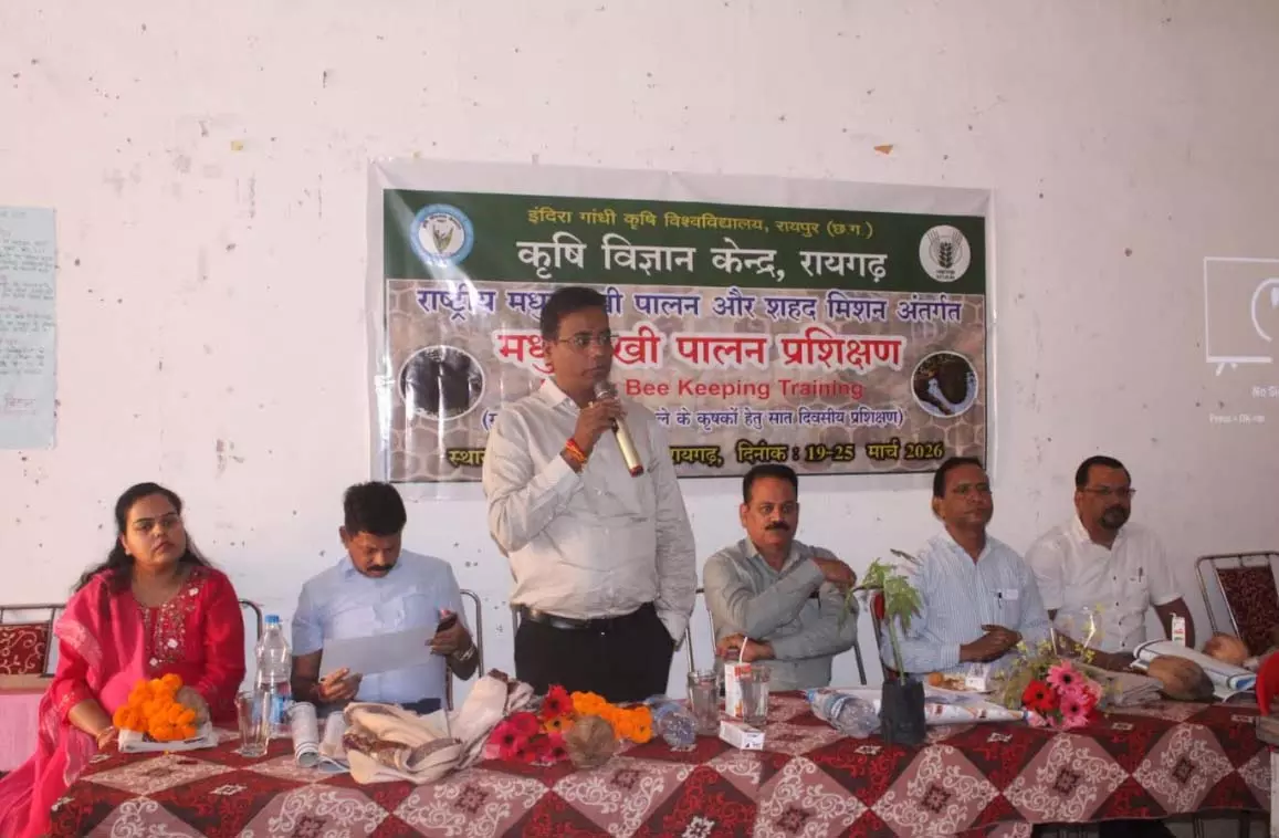 50 किसानों ने आधुनिक तकनीक से सीखा मधुमक्खी पालन 50 किसानों ने आधुनिक तकनीक से सीखा मधुमक्खी पालन