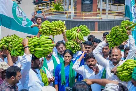 किसानों की दुर्दशा पर प्रदेश कांग्रेस अध्यक्ष का अनोखा विरोध-प्रदर्शन, फिर कलेक्टर को सौंपा ज्ञापन किसानों की दुर्दशा पर प्रदेश कांग्रेस अध्यक्ष का अनोखा विरोध-प्रदर्शन, फिर कलेक्टर को सौंपा ज्ञापन