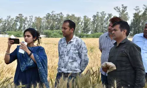 DC ने Kaithal में डिजिटल रबी फसल सर्वे की निगरानी की
