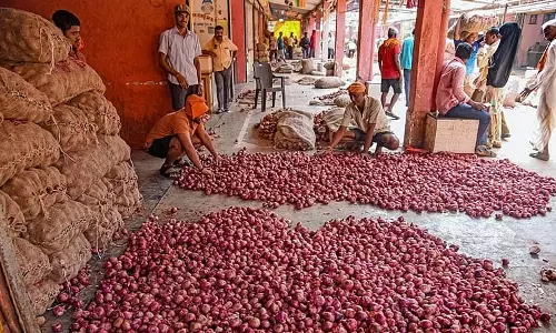 Nashik : प्याज संकट से निपटने के लिए सचिव स्तरीय समिति का गठन, स्थायी समाधान की योजना