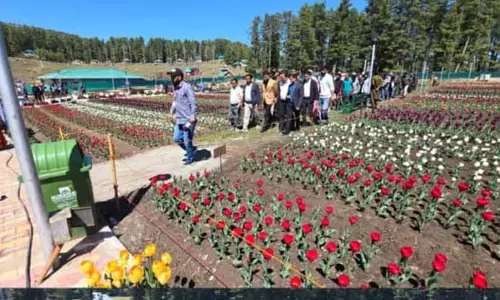 Ramban MLA ने सनासर ट्यूलिप गार्डन का उद्घाटन किया