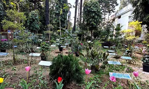 दिल्ली में नई जान फूंकते हुए, DU का कार्बन गार्डन वायु प्रदूषण का ग्रीन समाधान पेश करता है दिल्ली में नई जान फूंकते हुए, DU का कार्बन गार्डन वायु प्रदूषण का ग्रीन समाधान पेश करता है
