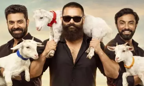 Aadu 3 केरल बॉक्स ऑफिस कलेक्शन Aadu 3 केरल बॉक्स ऑफिस कलेक्शन