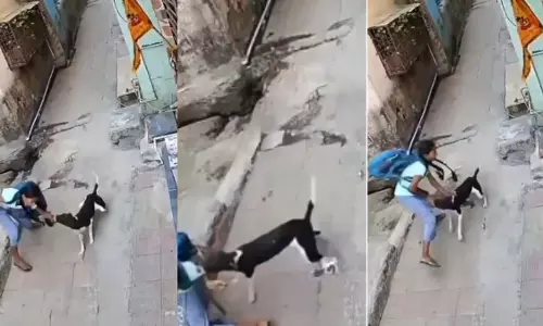 Thane: आवारा कुत्ते ने लड़की पर बेरहमी से हमला किया; बच्ची दर्द से चीखती हुई सुनाई दी Thane: आवारा कुत्ते ने लड़की पर बेरहमी से हमला किया; बच्ची दर्द से चीखती हुई सुनाई दी