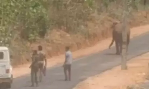 Kerala : दिन में अरलम के रिहायशी इलाकों में जंगली हाथी