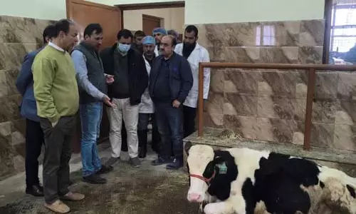Javid Dar ने गांदरबल के रणबीरबाग में पशुपालन सुविधा का जायजा लिया Javid Dar ने गांदरबल के रणबीरबाग में पशुपालन सुविधा का जायजा लिया