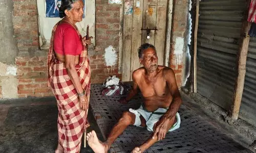 Bhadradri Kothagudem में बंदर के हमले में बुजुर्ग व्यक्ति घायल