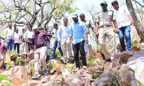 Collector ने सालेश्वरम मेले और नल्लामाला में ट्रेकिंग रूट का निरीक्षण किया Collector ने सालेश्वरम मेले और नल्लामाला में ट्रेकिंग रूट का निरीक्षण किया