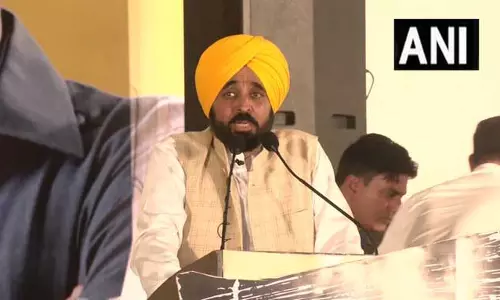पंजाब सीएम भगवंत मान का गुजरात पर हमला: कहा