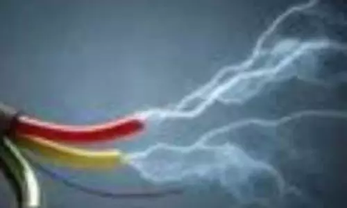 करंट से 4 कुत्तों की मौत करंट से 4 कुत्तों की मौत
