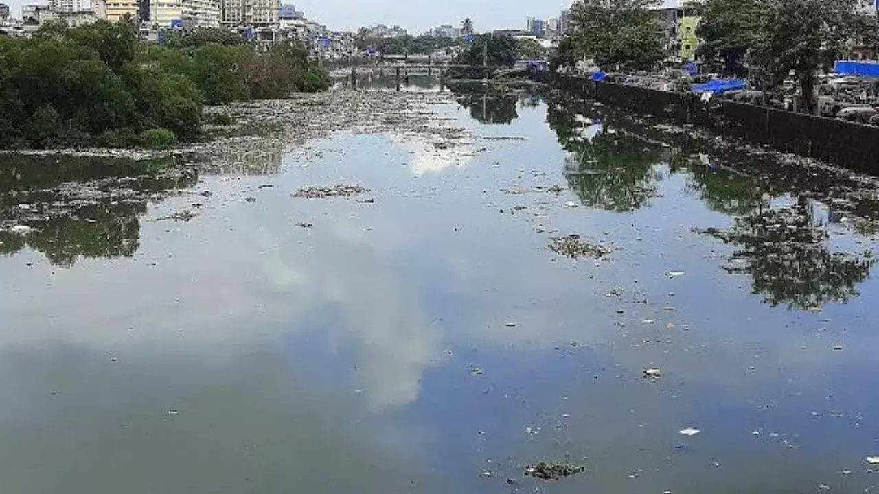 Mumbai: 90 करोड़ को लेकर पारदर्शिता पर बहस, मीठी नदी प्रोजेक्ट पर जांच की मांग Mumbai: 90 करोड़ को लेकर पारदर्शिता पर बहस, मीठी नदी प्रोजेक्ट पर जांच की मांग