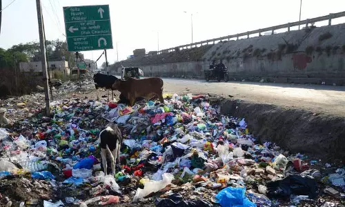 फगवाड़ा में कचरा संकट, Ex-MP ने मानवाधिकार आयोग से दखल की मांग की
