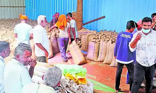 Karnataka ; किसानों से 60% बाजरा खरीदा गया