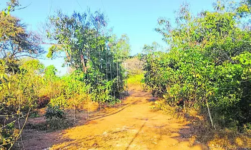 Kolar : जंगल की आग को रोकने के लिए टेक्नोलॉजी का इस्तेमाल किया जा रहा है Kolar : जंगल की आग को रोकने के लिए टेक्नोलॉजी का इस्तेमाल किया जा रहा है