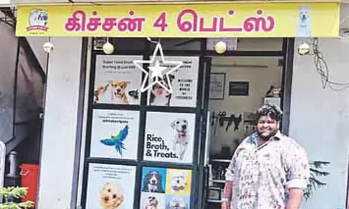 Chennai में पालतू जानवरों के लिए ताज़ा खाना लेने वाले मिल रहे हैं Chennai में पालतू जानवरों के लिए ताज़ा खाना लेने वाले मिल रहे हैं